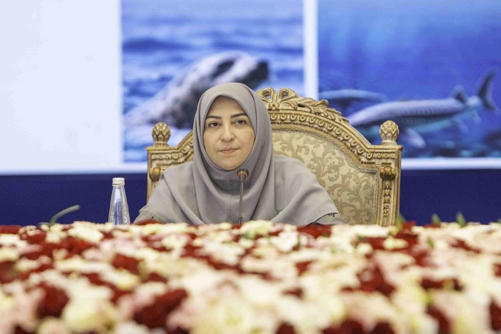 محیط زیست قربانی خاموش جنگ‌هاست