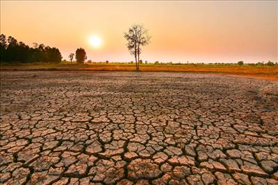 غذا ذخیره کنید ال‌نینو در راه است